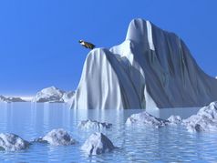 一个企鹅大冰山准备好了跳成的海洋美丽的天气