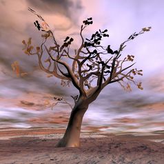 美丽的秋天幻想树沙漠景观色彩斑斓的日落幻想树渲染