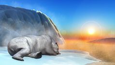 极地熊睡觉在冰山日落渲染极地熊渲染