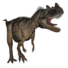 角鼻龙属恐龙咆哮的孤立的白色背景渲染角鼻龙属恐龙渲染