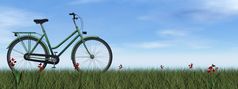 绿色夫人自行车的草与花一天渲染绿色夫人自行车渲染