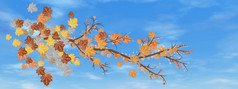 秋天树分支的天空背景一天渲染秋天树分支的天空背景渲染