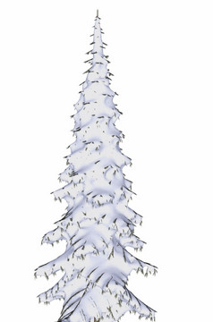 冬天松适合树覆盖与雪孤立的白色背景渲染冬天松冷杉树覆盖与雪渲染