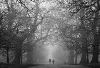 令人毛骨悚然的黑暗公园与两个人的距离拍摄黑色的和白色令人毛骨悚然的黑暗公园与两个人的距离