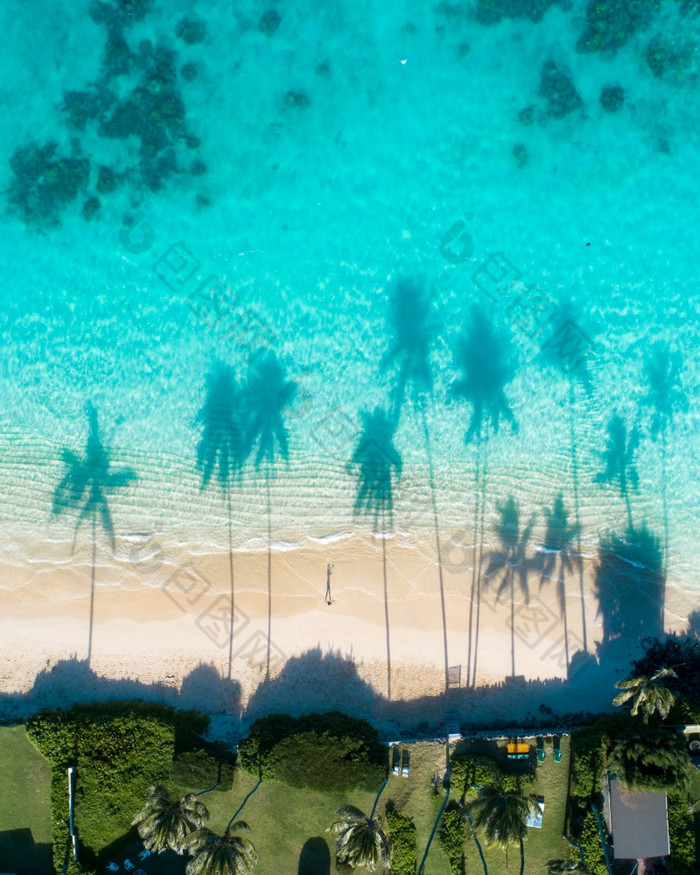 空中视图的反射的棕榈树的绿松石水的海空中视图的反射的棕榈树的绿松石水的海