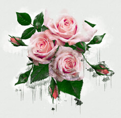 粉红色的紫色的桃子与绿色叶子玫瑰美丽的豪华的花画水彩风格艺术李子开花花插图摘要帆布绘画完整的浪漫使用为婚礼装饰