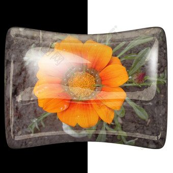 光滑的枕头按钮与使铭记于心真正的色彩斑斓的花光滑的枕头按钮与真正的花