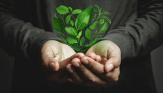世界地球一天概念绿色能源可再生和可持续发展的资源环境和生态哪手手势悬浮绿色叶心形状