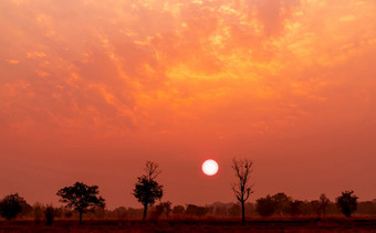 红色的和橙色日落天空与落叶龙脑香科树森林东北泰国美丽的日落天空夏天大红色的太阳以上树的晚上宁静的和和平景观浪漫的天空