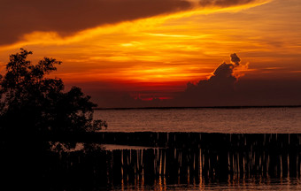 美丽的红色的和橙色日落天空在的热带海红色的日落天空天际线的海热带海风景优美的视图日落天空平静海洋海景<strong>艺术图片</strong>云层日落天空