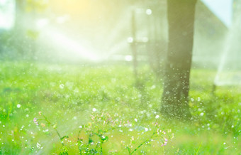 散景水溅模糊背景自动草坪上喷水灭火系统浇水绿色草喷水灭火系统与自动系统花园灌溉系统浇水草坪上喷水灭火系统维护服务