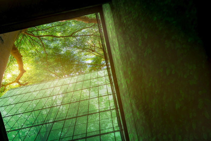 可持续发展的业务办公室建筑环保建筑现代城市绿色树和可持续发展的玻璃建筑为减少办公室建筑和绿色环境健康的企业绿色