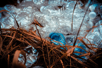 一天保护叶回收水瓶塑料污染地球透明的世界地球干草生态问题全球环境和塑料环境污染垃圾转储关闭塑料瓶损害概念污染夏天生态草环境自然垃圾垃圾环境背景绿色自然纹理生态生态绿色塑料植物瓶使用垃圾公园脏户外森林瓶