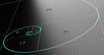 斐波那契螺旋在黑色的背景与网格科学数学概念插图斐波那契螺旋序列