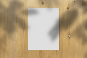 白色纸模型显示木墙与现实的阴影覆盖叶子米色背景横幅为促销活动市场营销背景为审美有创意的设计