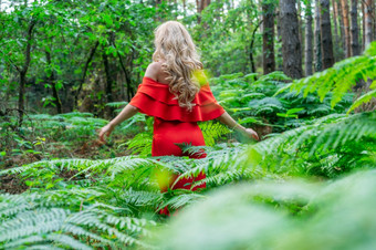 回来视图美丽的金发女郎女孩别致的红色的衣服触碰蕨类植物的仙女森林<strong>大气</strong>神奇的高质量照片回来视图美丽的金发女郎女孩别致的红色的衣服触碰蕨类植物的仙女森林<strong>大气</strong>神奇的