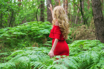 回来视图美丽的金发女郎女孩别致的红色的衣服触碰蕨类植物的仙女森林大气神奇的高质量照片回来视图美丽的金发女郎女孩别致的红色的衣服触碰蕨类植物的仙女森林大气神奇的