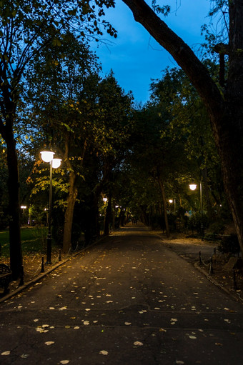 晚上场景黑暗小巷cismigiu花园公园晚上市中心布加勒斯特罗马尼亚
