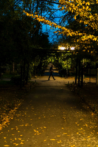 晚上场景黑暗小巷cismigiu花园公园晚<strong>上市</strong>中心布加勒斯特罗马尼亚