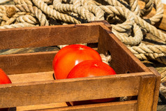 木箱与新鲜的成熟的西红柿孤立的乡村作文