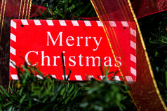 快乐圣诞节标志挂的圣诞节树