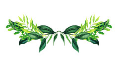 绿色植物对称的装饰花束组成新鲜的绿色叶子和分支机构手画向量水彩插图设计模板