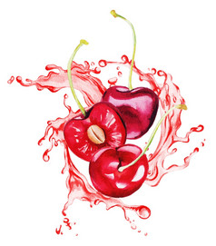 红色的樱桃和一半樱桃的飞溅红色的汁手画水彩插图