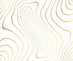 黄金豪华的大理石石头模式与金波行在摘要背景向量插图