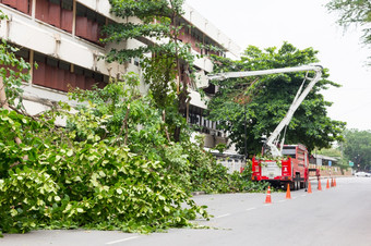 泰国udonthani五月起重机减少路边树