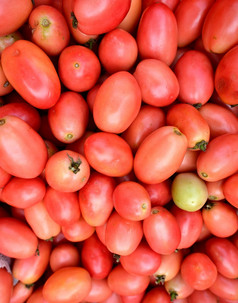 许多新鲜的番茄为出售市场