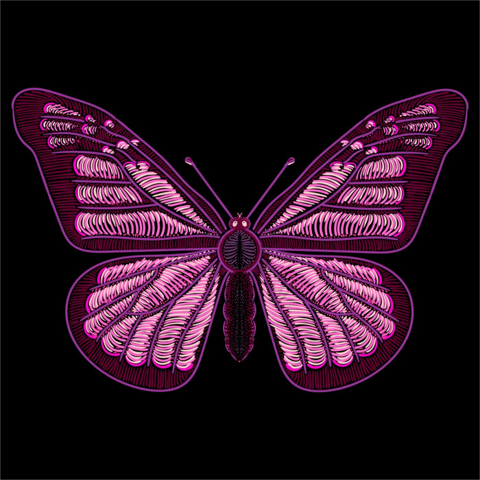 的向量标志蝴蝶为纹身恤穿破的打印蝴蝶这画
