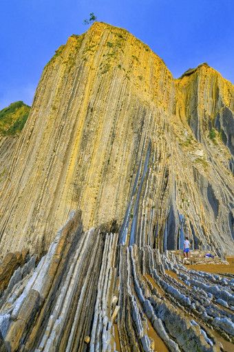 steeply-tilted层<strong>飞翔飞翔</strong>悬崖巴斯克海岸联合国教科文组织全球地质公园欧洲地质公园网络Zumaiaguipuzcoa巴斯克国家西班牙欧洲