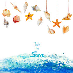 夏天海贝壳集合设计和波海洋白色背景水彩绘画色彩斑斓的化石水下生活插图艺术画孤立的为印刷和浪漫的明信片风格
