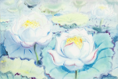 watercolororiginal绘画白色花莲花和绿色叶子蓝色的背景