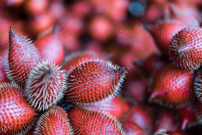 salacca瓦利基亚纳扎拉卡水果有pricker皮肤泰国和亚洲水果有甜蜜的可以买泰国街食物和水果市场salacca瓦利基亚纳亚洲水果水果市场