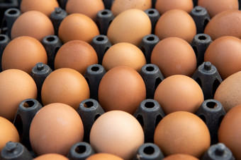 新鲜的鸡蛋产品为出售<strong>超市</strong>开放每天蛋价格泰国可以指示器的经济泰国新鲜的鸡蛋产品为出售<strong>超市</strong>