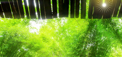 最小的小屋绿色竹子花园视图从屋檐看出软焦点竹子花园的背景