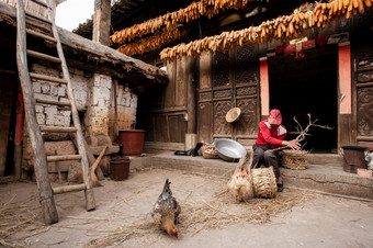 云南中国3<strong>月中</strong>国人老男人。使玉米椅子前面老迷人的中国人房子美丽的艺术木纹理玉米干燥挂在的通过公鸡前景chengzi村