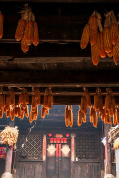 美丽的阳光照古老的中国人房子和玉米干燥挂周围的室内房子chengzi村的古老的村云南中国食物文化村旅游