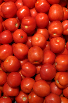 集团红色的番茄背景纹理