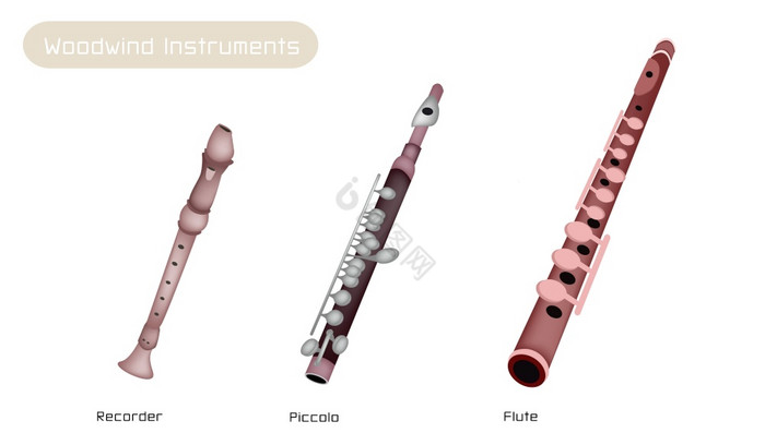 三个种类的古董木管乐器仪器录音机长笛和小