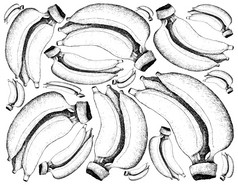 水果插图背景手画草图新鲜的成熟的和甜蜜的香蕉