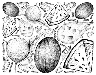新鲜的水果插图手画草图新鲜的龙水果火龙果葡萄<strong>柚</strong>和<strong>西</strong>瓜孤立的白色背景