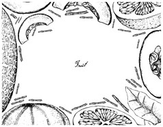水果插图框架手画草图葡萄柚和哈密瓜甜瓜孤立的白色背景