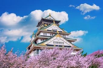 大阪城堡和樱桃开花春天樱花季节大阪日本