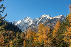 oautumn风景的瑞士阿尔卑斯山脉与的伯尔尼纳峰