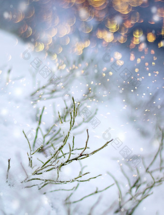 色彩斑斓的片第一个雪印象美丽的冬天概念圣诞节降雪第一个降雪印象