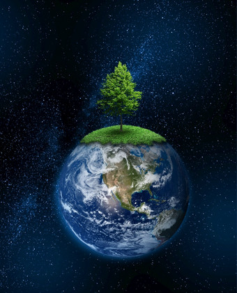 孤独的树日益增长的地球地球全球气候变暖气候改变概念孤独的树日益增长的地球地球