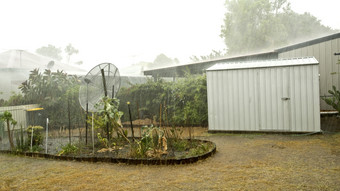 重雨在非常多风的<strong>夏天风暴</strong>昆士兰澳大利亚