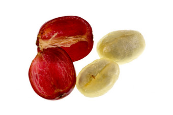 视图新鲜的咖啡樱桃水果解剖学与的外部分组成的皮肤和纸浆红色的的图像和的<strong>内心</strong>的部分种子与两个相邻半覆盖的粘液